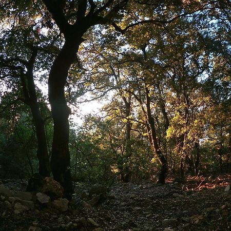 Appartamento A Pula In Zona Residenziale Εξωτερικό φωτογραφία