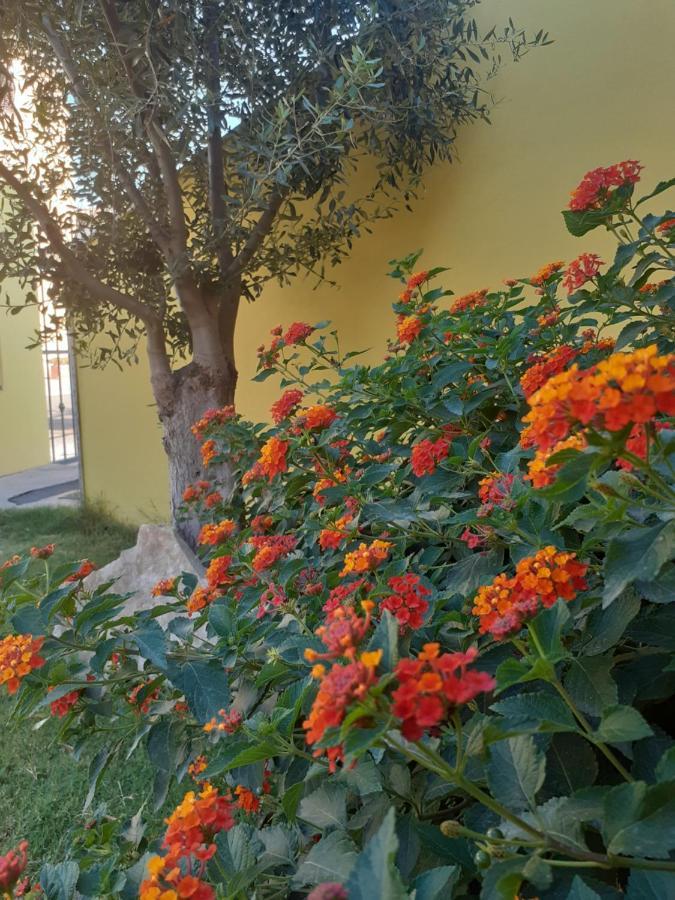 Appartamento A Pula In Zona Residenziale Εξωτερικό φωτογραφία