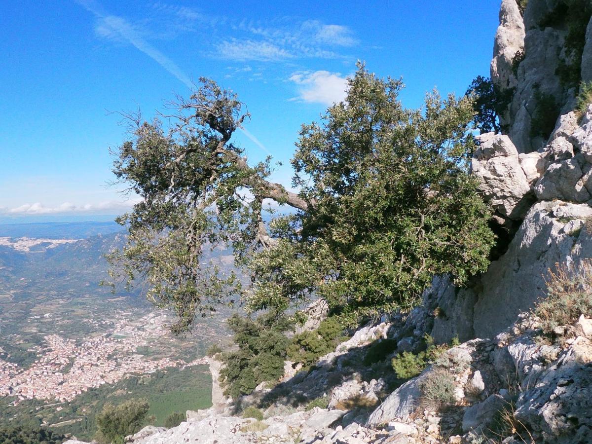 Appartamento A Pula In Zona Residenziale Εξωτερικό φωτογραφία